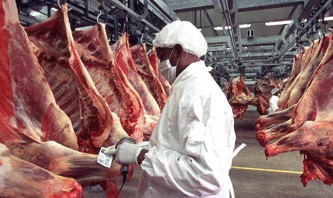 Pracovník na spracovanie mäsa